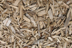biomass boilers Leighswood